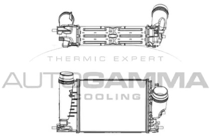 Теплообменник AUTOGAMMA 107666
