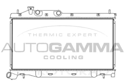 Теплообменник AUTOGAMMA 107719