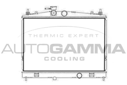 Теплообменник AUTOGAMMA 107727
