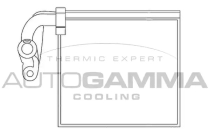 Испаритель AUTOGAMMA 112019