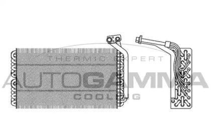 Испаритель AUTOGAMMA 112020