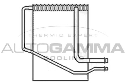 Испаритель AUTOGAMMA 112021