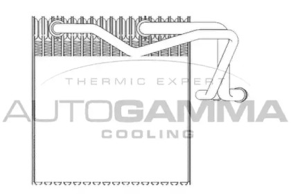 Испаритель AUTOGAMMA 112025