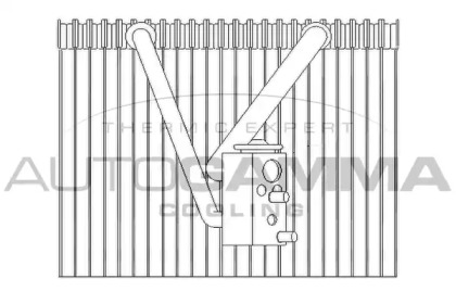 Испаритель AUTOGAMMA 112033