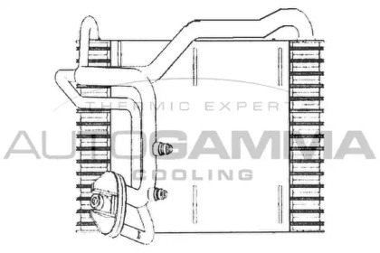 Испаритель AUTOGAMMA 112044