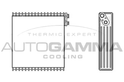 Испаритель AUTOGAMMA 112064