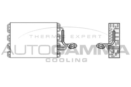 Испаритель AUTOGAMMA 112065