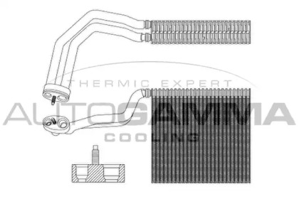 Испаритель AUTOGAMMA 112073
