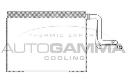 Испаритель AUTOGAMMA 112084