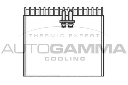Испаритель AUTOGAMMA 112097
