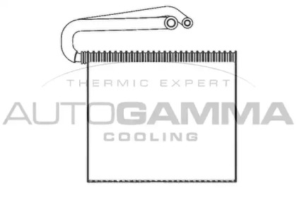 Испаритель AUTOGAMMA 112099