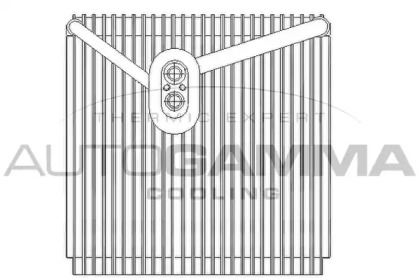 Испаритель AUTOGAMMA 112127