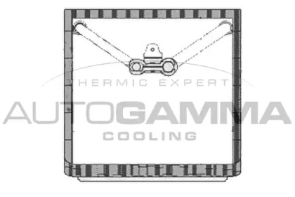 Испаритель AUTOGAMMA 112134