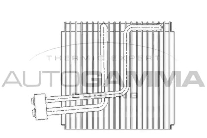 Испаритель AUTOGAMMA 112144