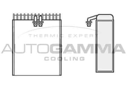 Испаритель AUTOGAMMA 112147