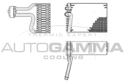 Испаритель AUTOGAMMA 112167