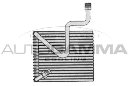 Испаритель AUTOGAMMA 112196