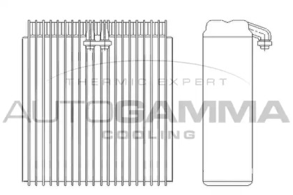 Испаритель AUTOGAMMA 112200