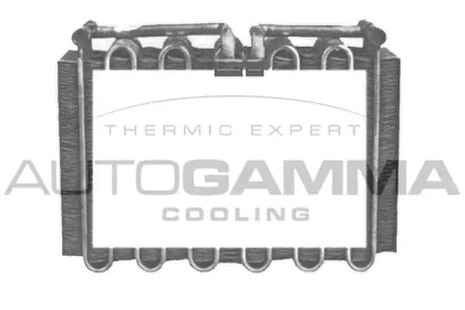 Испаритель AUTOGAMMA 112201