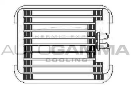 Испаритель AUTOGAMMA 112202