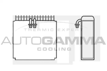 Испаритель AUTOGAMMA 112206