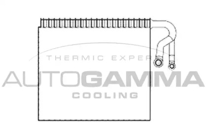 Испаритель AUTOGAMMA 112223