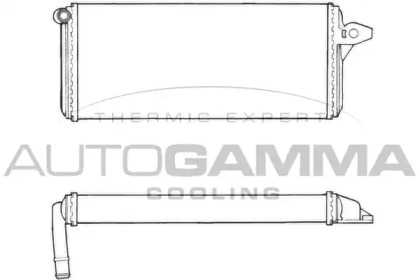 Теплообменник AUTOGAMMA 300971