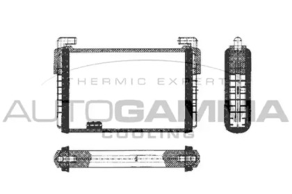 Теплообменник AUTOGAMMA 300983