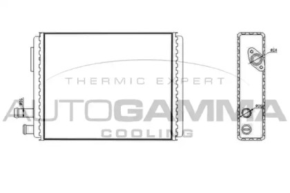 Теплообменник AUTOGAMMA 300990