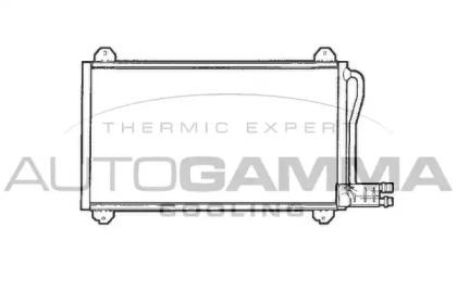 Конденсатор AUTOGAMMA 301004