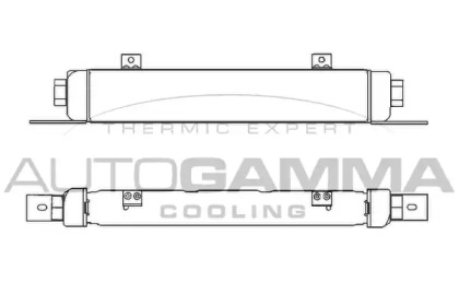 Теплообменник AUTOGAMMA 303700