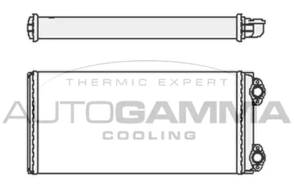 Теплообменник AUTOGAMMA 304768