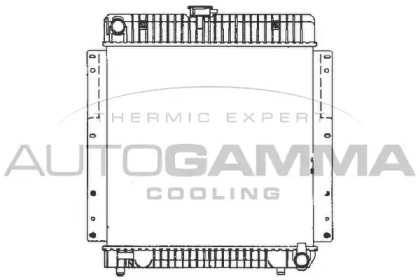 Теплообменник AUTOGAMMA 400146
