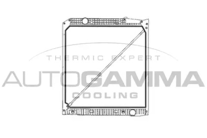 Теплообменник AUTOGAMMA 401120