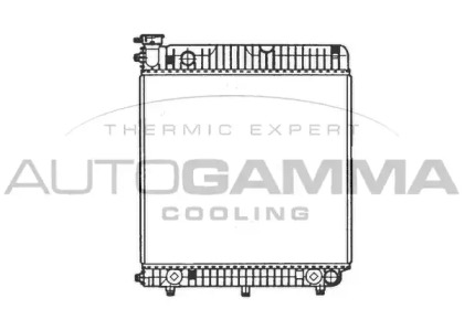 Теплообменник AUTOGAMMA 402006