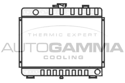 Теплообменник AUTOGAMMA 404072