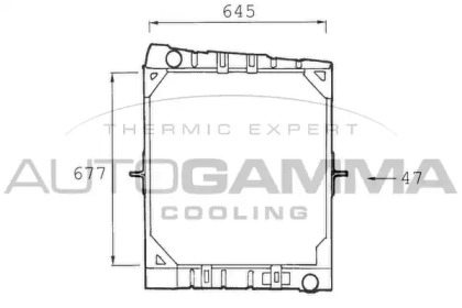 Теплообменник AUTOGAMMA 404342