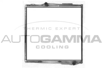 Теплообменник AUTOGAMMA 405490