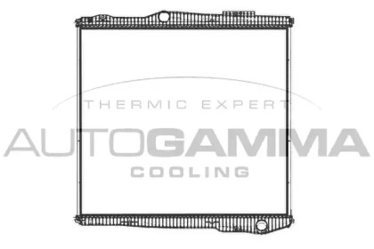 Теплообменник AUTOGAMMA 405492