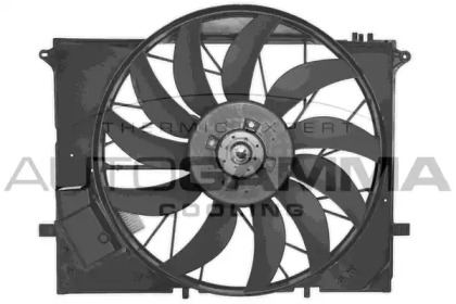 Вентилятор AUTOGAMMA GA226000