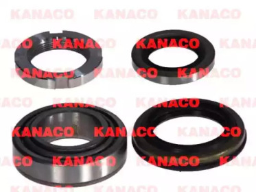 Комплект подшипника KANACO H20310