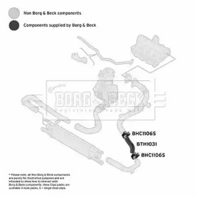 Шлангопровод BORG & BECK BTH1031