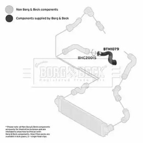 Шлангопровод BORG & BECK BTH1079