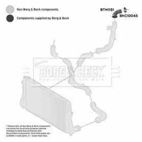 Шлангопровод BORG & BECK BTH1151