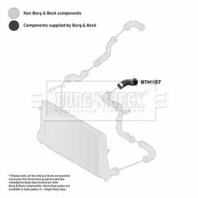 Шлангопровод BORG & BECK BTH1157