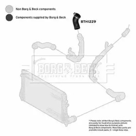 Шлангопровод BORG & BECK BTH1229