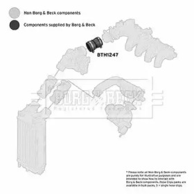 Шлангопровод BORG & BECK BTH1247