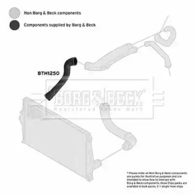 Шлангопровод BORG & BECK BTH1250