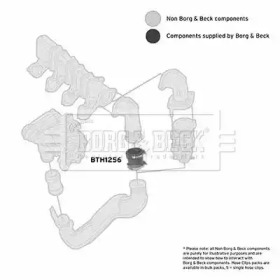 Шлангопровод BORG & BECK BTH1256