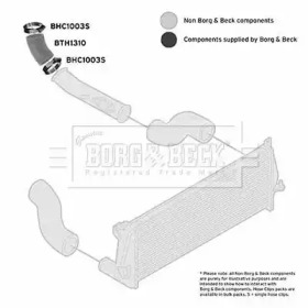 Шлангопровод BORG & BECK BTH1310